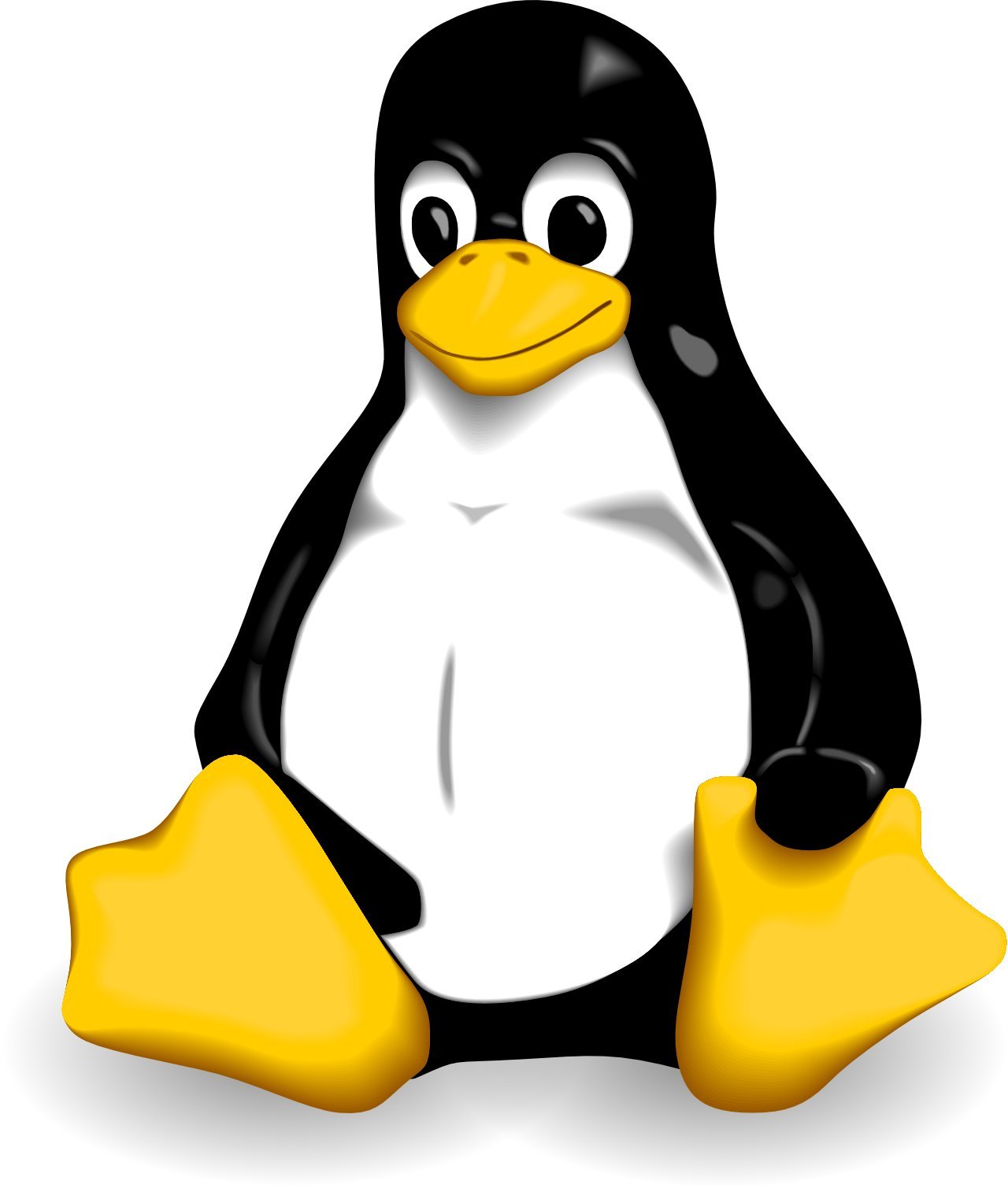 Linux进阶教程