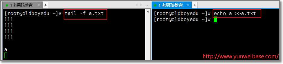 1.09 Bash基础<i></i>